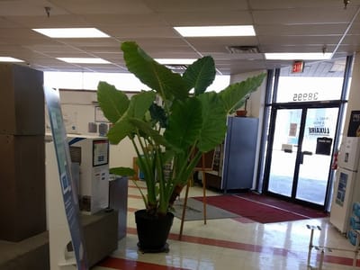 Dakota Supply Group - DSG - Livonia