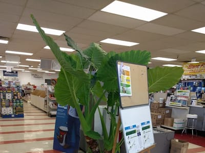 Dakota Supply Group - DSG - Livonia