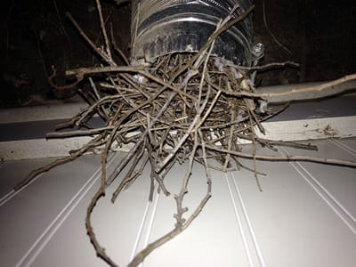 Dan's Drain and Duct Cleaning