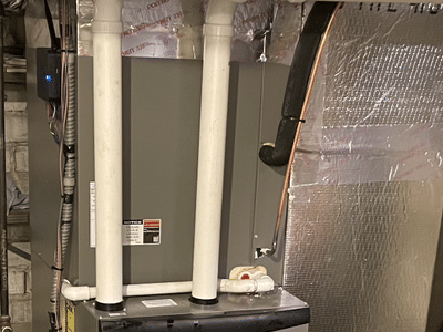 David White Services