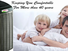 David White Services