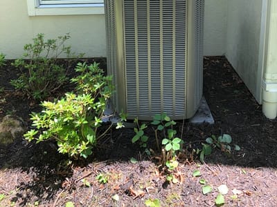 David White Services