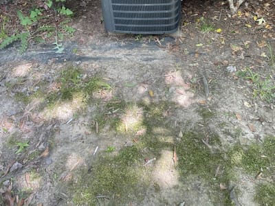 Davis Climate Control