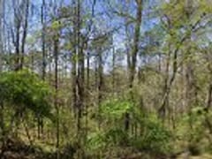 Dawson True Heating & Cooling LLC.