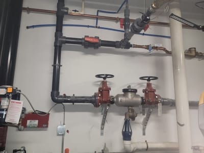 De Araujo Mechanical