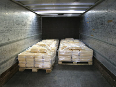 De La Cruz Services Inc