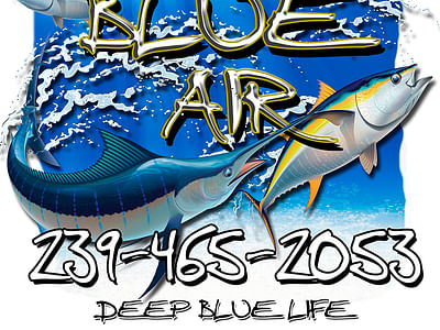 Deep Blue Air Inc.