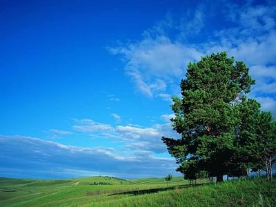 Delta Heating and Cooling Inc.