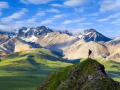 Denali Heating & Air Conditioning