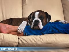 Desert Comfort Mechanical