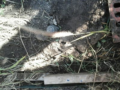 Dial One Johnson Plumbing, Cooling & Heating