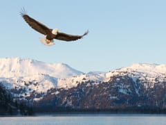 Diamond Heating & AirTemp Alaska