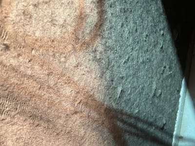 Diamondback Heating and Cooling