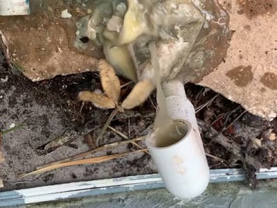 Dignified Air Services, LLC