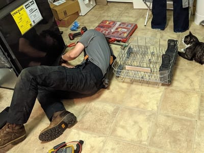 DNA Heating and Cooling