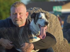 Double Check Cooling and Heating