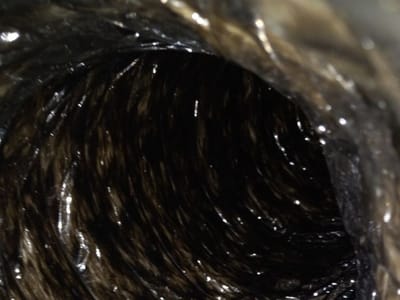 Dr. Ducts Montgomery