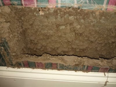 DUCTZ of Greater Columbia