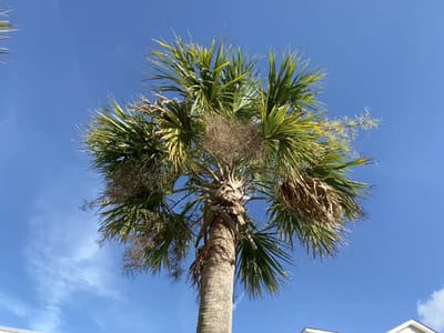 Dunes Heating and Air Conditioning