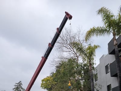 Dusty Ducts HVAC Services Inc. Los Angeles