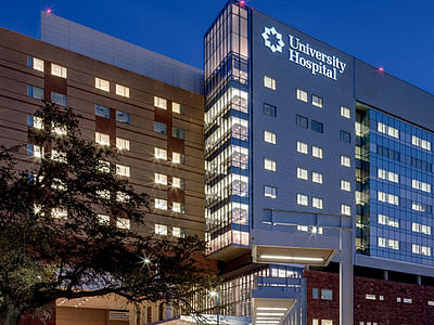 Dynamic Systems, Inc.