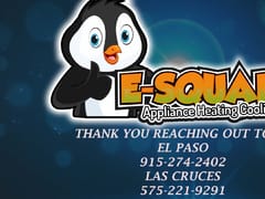 E-SQUARE SERVICE LLC