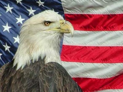 Eagle Mechanical Inc. Heating & Air Conditioning