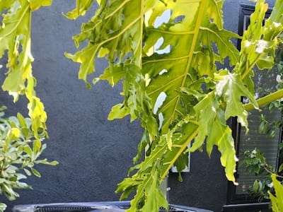 Eagle Rock Heating and Air Conditioning LLC