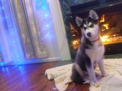 Eagles Mechanical Contractors