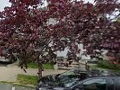 Eastern Heating and Air Conditioning Co., Inc.