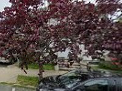 Eastern Heating and Air Conditioning Co., Inc.