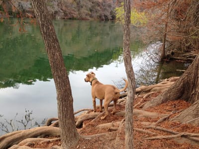 Eco Air Conditioning