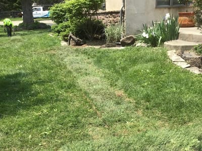 Eco Plumbers, Electricians, and HVAC Technicians