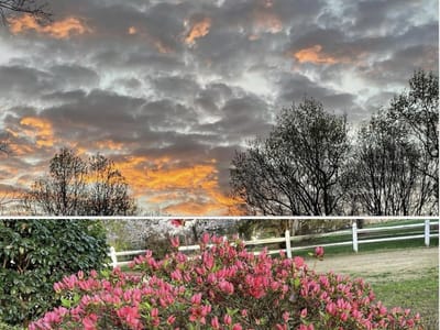 EcoGreen Home Services: Heating and Air, Electrical, Insulation, Plumbing & Drain