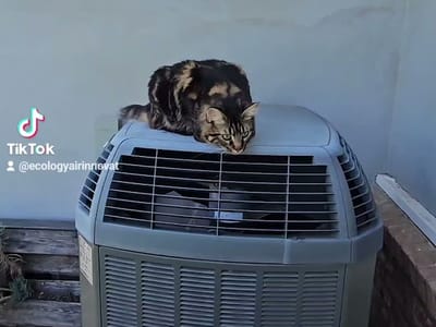 Ecology Air Innovations