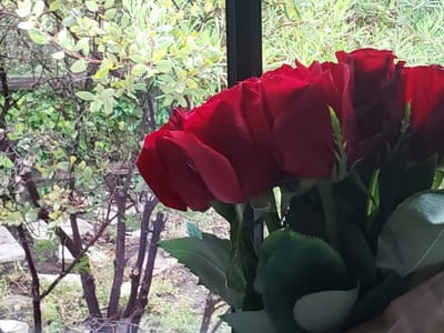 Econo West Heating & Air SB