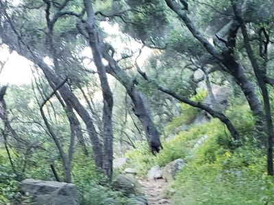 Econo West Heating & Air SB