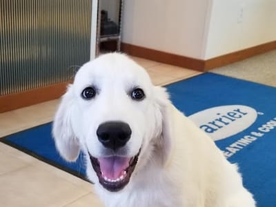 Ehlers Heating & Air Conditioning