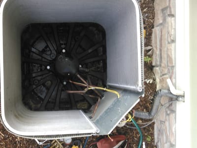 Elephant Ears Service Company