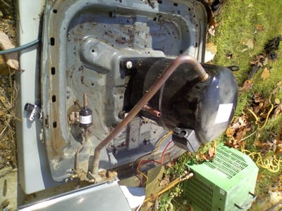 Elephant Ears Service Company