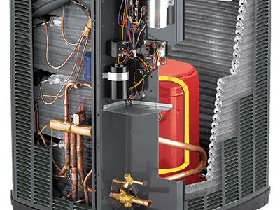 Elephant Ears Service Company