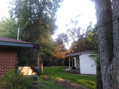 Ellis Heating & Air Conditioning