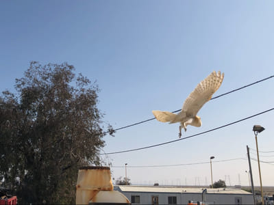 Empire heating and cooling