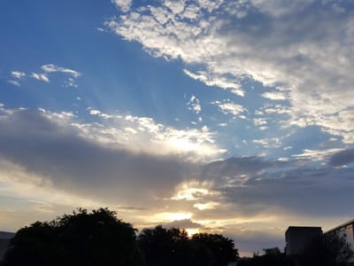 Entech Sales & Service