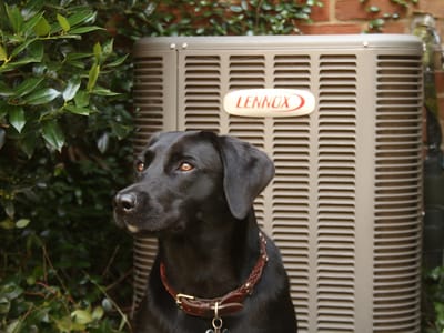 Environment Masters • Plumbing + Air