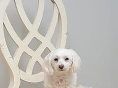 Environmental Air Systems Inc