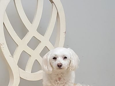 Environmental Air Systems Inc