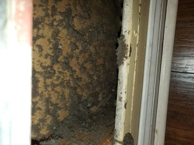 Essential Air Care LLC.