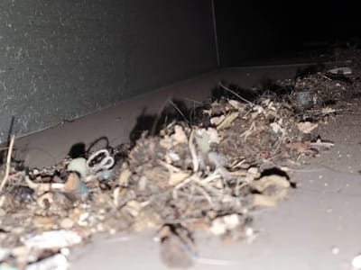 Essential Air Care LLC.