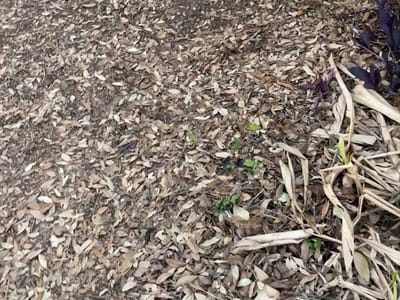 Evaluator HVAC Licensed To Chill